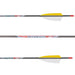 Black Eagle Intrepid Arrow (Fletched w/Feathers)-Canada Archery Online