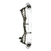 Bowtech Alliance 33 Compound Bow-Canada Archery Online