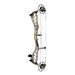 Bowtech Alliance 33 Compound Bow-Canada Archery Online