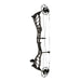 Bowtech Alliance 33 Compound Bow-Canada Archery Online