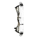 Bowtech Alliance 33 Compound Bow-Canada Archery Online