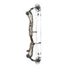 Elite Victra Compound Target Bow-Canada Archery Online