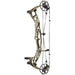 Hoyt Alpha AX-3 29 Compound Bow-Canada Archery Online