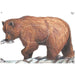 Maple Leaf Official NFAA Animal Target Face (Group 1)-Canada Archery Online