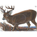 Maple Leaf Official NFAA Animal Target Face (Group 1)-Canada Archery Online