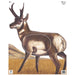 Maple Leaf Official NFAA Animal Target Face (Group 2)-Canada Archery Online