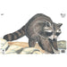 Maple Leaf Official NFAA Animal Target Face (Group 3)-Canada Archery Online