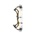 PSE Mach 30 FDS Carbon Compound Bow-Canada Archery Online