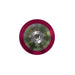 Win & Win Tiller Adjustment Bolts-Canada Archery Online