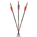 Avalon Tyro Carbon Arrow (Fletched w/Vanes)-Canada Archery Online