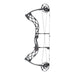 Bowtech Carbon Zion Compound Bow RAK Package-Canada Archery Online