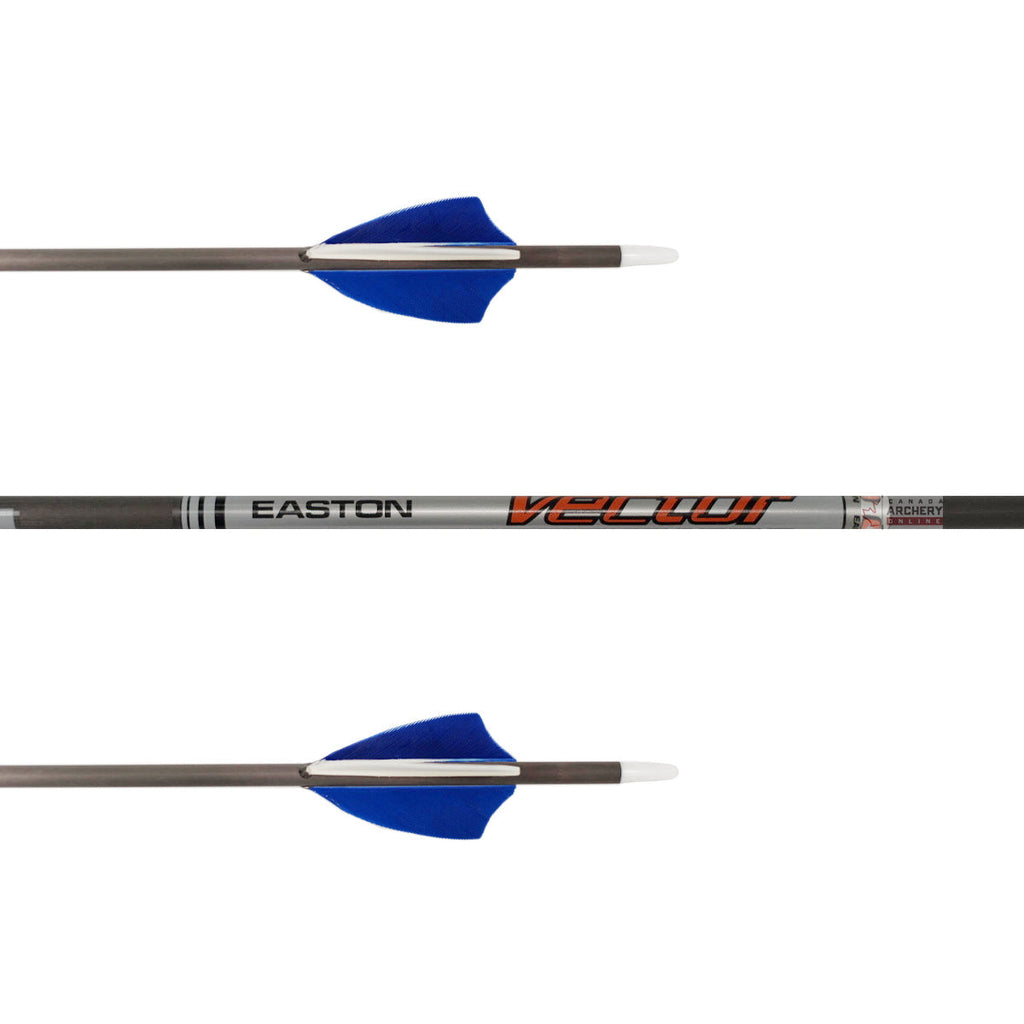 FLECHA 2本セット 青 グレー Easton 4mm Vector Arrow (Fletched w/Feathers) — Canada Archery Online