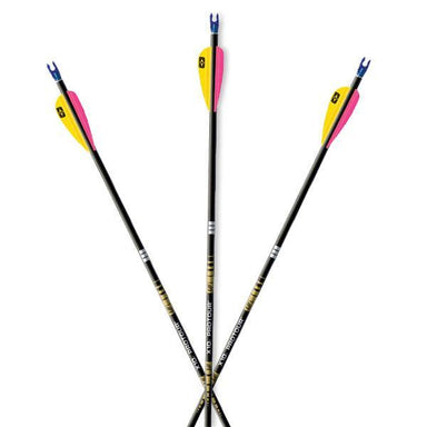 Easton X10 Protour Arrow (shafts)-Canada Archery Online