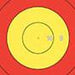 Replacement Center Patch for 122cm FITA Target Face-Canada Archery Online