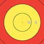 Replacement Center Patch for 122cm FITA Target Face-Canada Archery Online